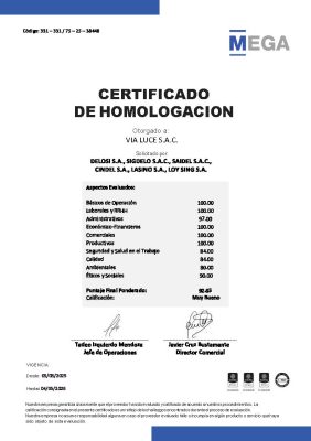 Certificado VIA LUCE S.A.C. - DELOSI-HOMOLOGACION MEGA 2025